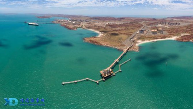 热那亚vs维罗纳：马利诺夫斯基、洛伦佐-科隆博首发，加利亚尔迪尼、焦瓦内出战